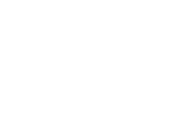 Para lo anterior, el área de servicios se especializa en lo siguiente: • Sostenibilidad Organizacional: Evaluación y corrección del sistema de relaciones que produce el acoplamiento entre las decisiones estratégicas, y las relaciones que crean valor. • Sustentabilidad Organizacional: Evaluación y corrección del sistema que conecta a los recursos, la energía y los procesos. • Los servicios referidos permiten su monitoreo, coordinación y control mediante la construcción de indicadores de Confiabilidad, Disponibilidad y Factibilidad de la red organizacional asociada a procesos estratégicos de manera de asegurar la efectividad decisional de la estructura de gerencia. 